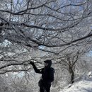 치유센터 화장실 이미지