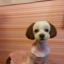 예나농장 이미지