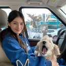 the 러블리 이미지