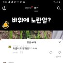 그랑프리펜션 이미지