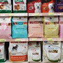 애견용품아울렛 이미지