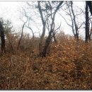 철성농장 이미지