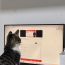 사이버 테크 | 부업하기 1탄 :: 메리츠파트너스 직접 해봤다 리얼후기