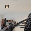 컬러하우스 광교점 이미지