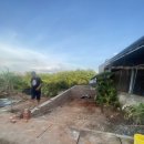 사옥농장 이미지