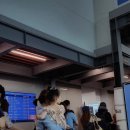 글로벌알파미디어(주) | 자기주도력 집착 엄마 - 독서, 영어 쉐도잉 루틴 잡기, 자기주도 옷 고르기/ 분기 문화생활, 뮤지컬...