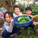 협심어린이집 이미지