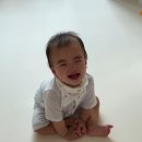 예진팜