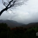 산촌편지