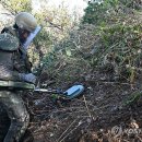 美 "北송환 유해에서 미군 112명 신원 확인...DMZ 유해발굴 재개" 이미지