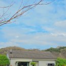 장승길 | 서산 카페 건축가의 정원, 비 온 뒤 더 예뻤던 감성 정원 카페 후기