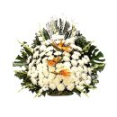 수원-0092 이미지