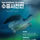 준카페 네이버블로그