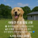 휴먼앤독 이미지