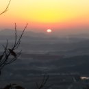 보성집
