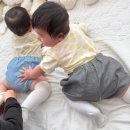 착한인형 | [천안] "최필스튜디오" 못난이 인형 사진 컨셉의 원조, 200일 아기 촬영, 갓성비사진관, 내돈내산 후기