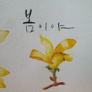 개나리문구 이미지