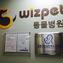 위즈펫동물병원 이미지
