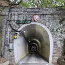 사진 한 장에 전국에서 몰리는 인생샷 명소" 100년 전 옛 철도 터널 이색 여행지 이미지