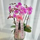 동래문화회관 이미지