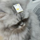 아현종로약국 이미지