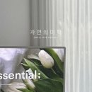 스테이 미니멀 이미지