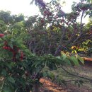 건지농장 이미지