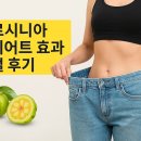 가르시니아 다이어트 효과 리얼 후기!!!