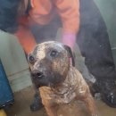 범이농장 이미지