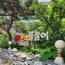 산닭백숙 이미지