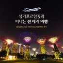 (주)리더스항공