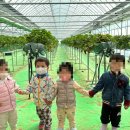 찬이농장 이미지