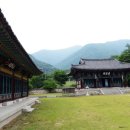 표충사 2 이미지