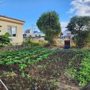 해뜨는초록마을휴양펜션 이미지