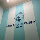 몽슈아 | 해운대 애견운동장 놀이터 [몽슈아퍼피] 해운대 동백섬 애견유치원 (구.오구오구퍼피)