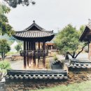 읍청루 티스토리