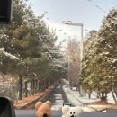 마정리'머뭄' 이미지