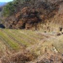 고제면 봉계리 이미지