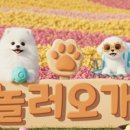 놀러오개 이미지