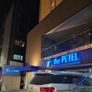 플러스홈마트 | [부산 해운대] 부산 해운대 애견 동반 호텔 추천 더펫텔프리미엄스위트 스위트룸, 대식구 여행 추천 호텔