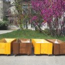 무봉유치원 이미지