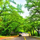 경암스포츠센터(골프) 이미지