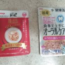 아미덴탈 이미지