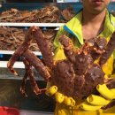 기장총각대게 이미지