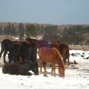 2008년 2월 12일 화요일.. 포토뉴스.... 이미지