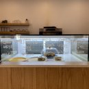 라이블리(Lively) 이미지