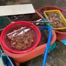 강바다횟집 이미지