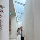 인필드 | 춘천여행 카페 추천 손흥민카페 인필드 솔직 방문 후기