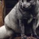 천안고속버스터미널 이미지