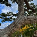 명품펜션갤러리 이미지